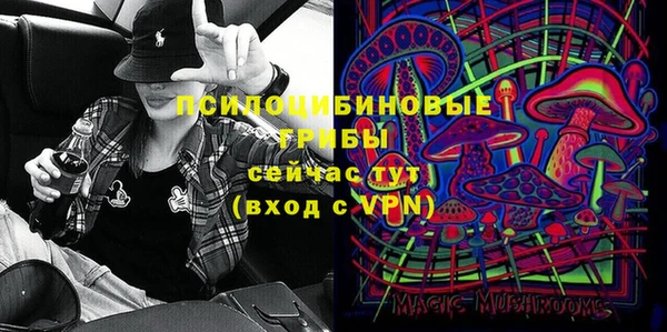спиды Белокуриха