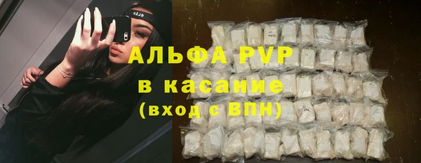 спиды Белокуриха