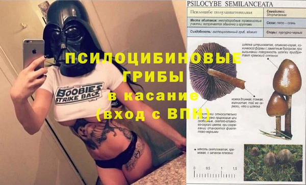 гидра Беломорск