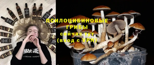 спиды Белокуриха