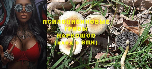 спиды Белокуриха